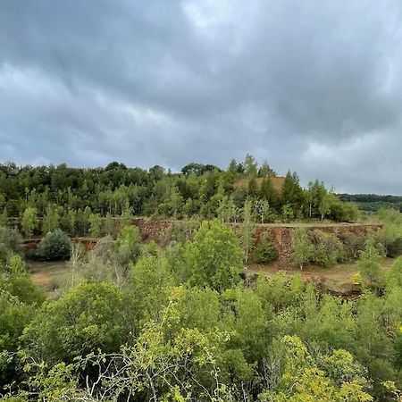 Appartamento Studio situé aux abords de la forêt avec parking Differdange Esterno foto