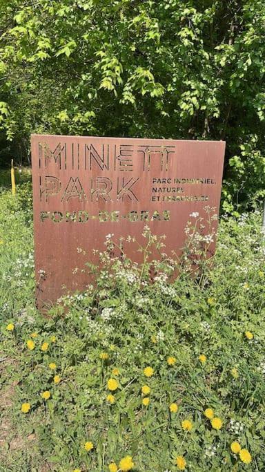 Appartamento Studio situé aux abords de la forêt avec parking Differdange Esterno foto